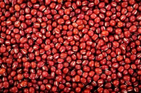 Kidney bean Stock Photos