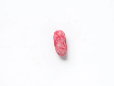 Kidney bean seed Stock Photos
