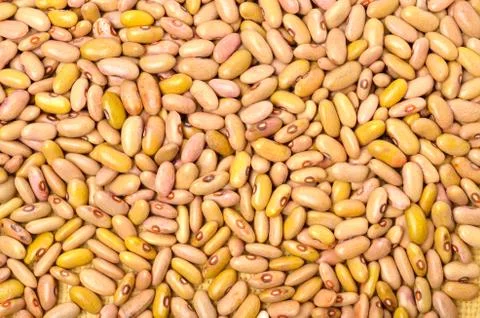 Kidney beans background Stock Photos
