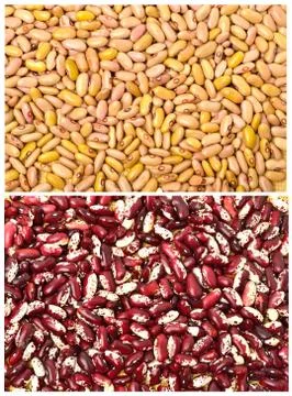 Kidney beans background Stock Photos