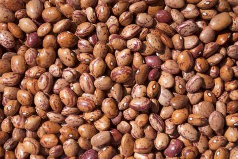 Kidney beans for Background Stock Photos