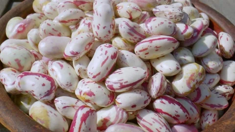 Kidney Beans Close Up Stock Footage 165248957