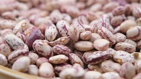 Kidney beans close up Stock Footage 260682648