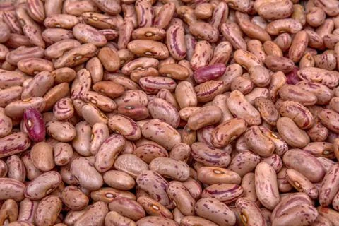 Kidney beans as a creative background 스톡 사진