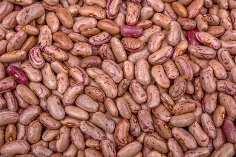 Kidney beans as a creative background 스톡 사진