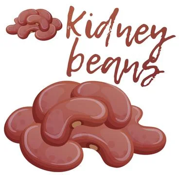 Kidney beans icon. Cartoon vector illustration isolated on white background Stock Illustration