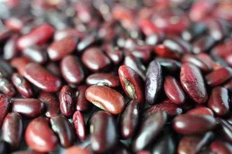 Kidney beans Stock Photos