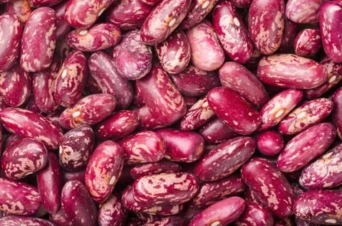 Kidney beans Stock Photos