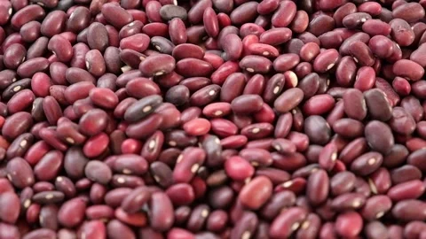 Kidney beans spinning background. Dry red bean wallpaper Stock Footage 216117365