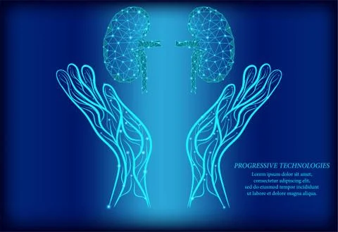 Kidney between two human hands. Low poly concept. Healthy kidney concept. Kid Stock Illustration