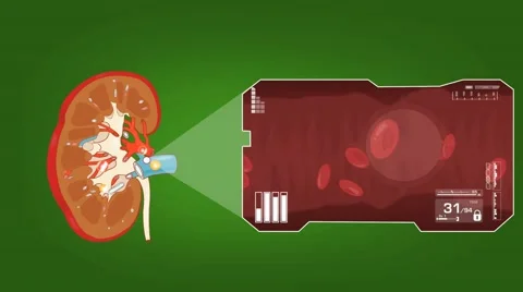 Cardiac Vector Stock Footage ~ Royalty Free Stock Videos | Pond5
