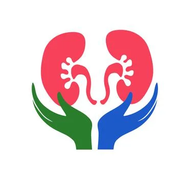 Kidney care Stock Illustration