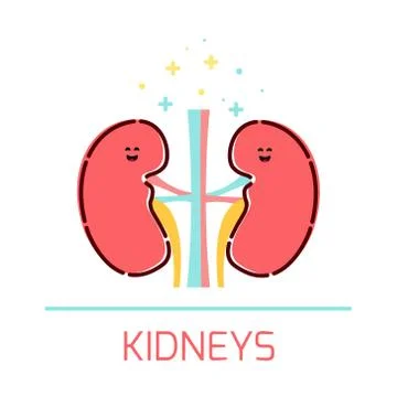 Kidney cartoon icon Stock Illustration