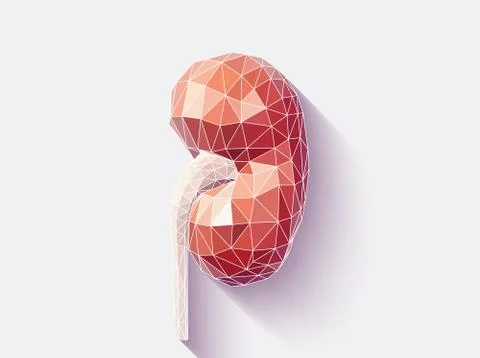 Kidney faceted Illustrazione stock