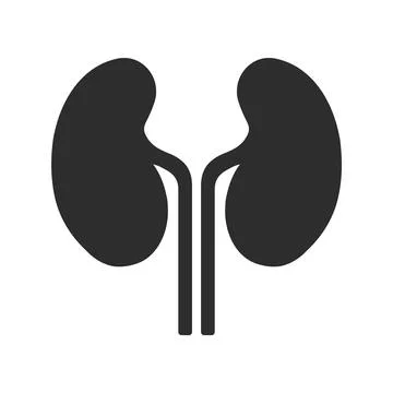 Kidney Flat Icon Isolated Vector Illustration Stock Illustration