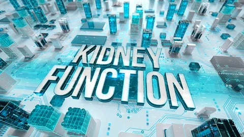 Kidney Function with medical digital technology concept 스톡 동영상 106966223