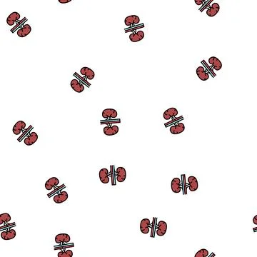 Kidney human organ vector seamless pattern Stock Illustration