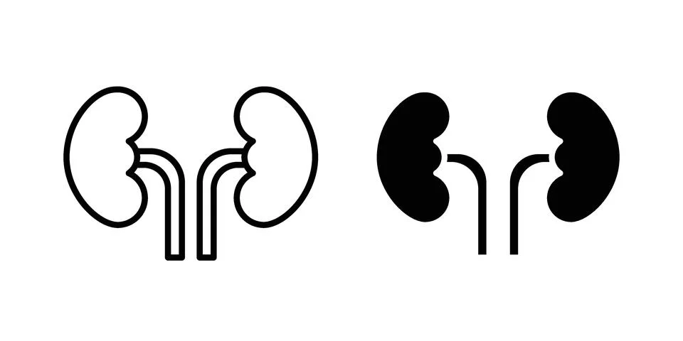 Kidney icon design. Simple Vector illustrations.. Stock Illustration
