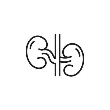 Kidney Icon Stock Illustration