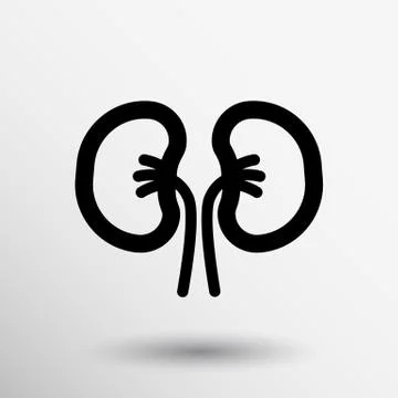 Kidney icon isolated human two vein white medical Stock Illustration