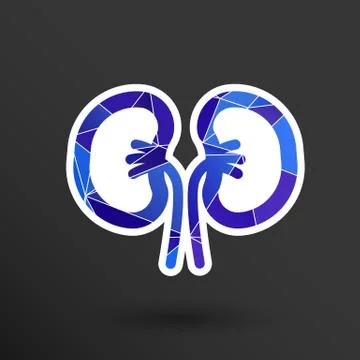 Kidney icon isolated human two vein white medical Stock Illustration