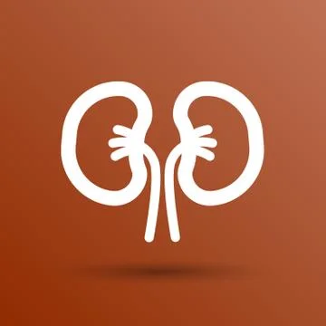 Kidney icon isolated human two vein white medical Stock Illustration
