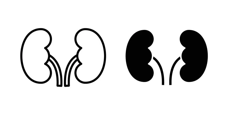 Kidney icon set, collection of vector icons Stock Illustration
