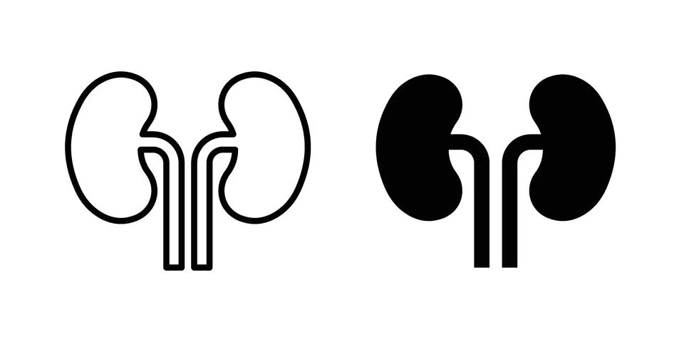 Kidney icon set. Vector EPS 10 Stock Illustration