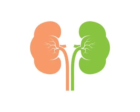 Kidney icon vector illustration design Stock-Illustration