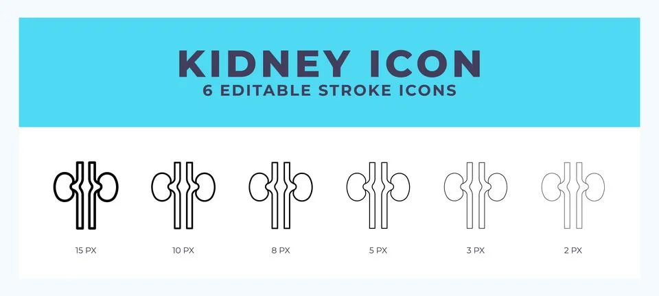 Kidney icon vector for web. And mobile app. Editable stroke outline icon. Stock Illustration
