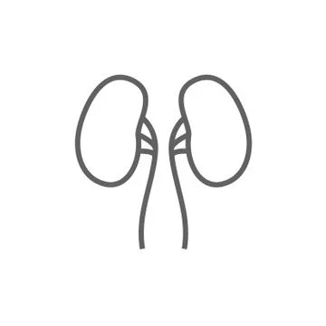 Kidney line icon Stock Illustration