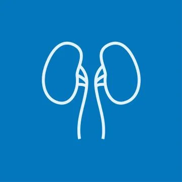 Kidney line icon Stock Illustration