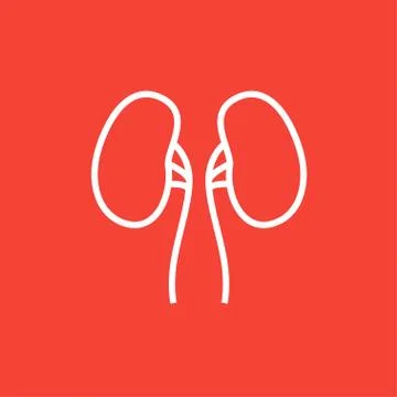 Kidney line icon Stock Illustration