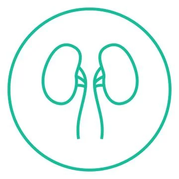 Kidney line icon Stock Illustration