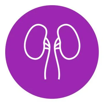 Kidney line icon Stock Illustration