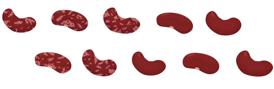 Kidney red beans. Vector flat legumes isolated Stock Illustration