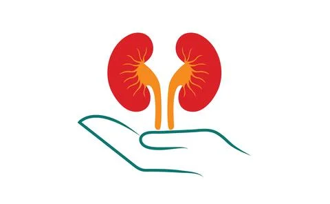 Kidney save Stock Illustration