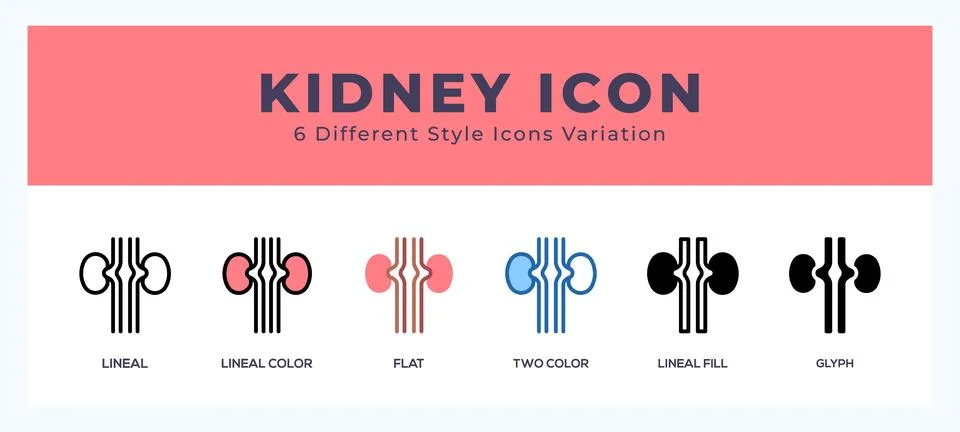Kidney set of vector icon. For web. and mobile app Stock Illustration