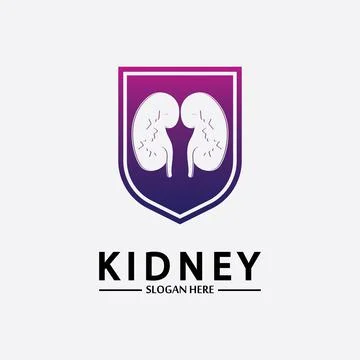Kidney Shield Logo Template Design Vector, Emblem, Design Concept, Creative S Stock Illustration