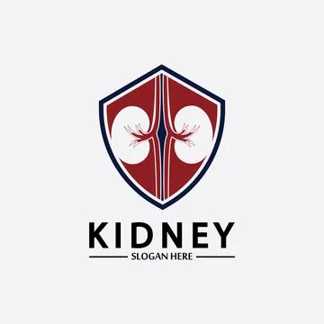 Kidney Shield Logo Template Design Vector, Emblem, Design Concept, Creative S Stock Illustration