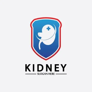 Kidney Shield Logo Template Design Vector, Emblem, Design Concept, Creative S Stock Illustration