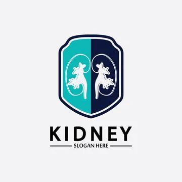 Kidney Shield Logo Template Design Vector, Emblem, Design Concept, Creative S Stock Illustration