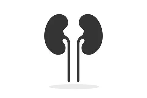 Kidney. Simple icon. Flat style element for graphic design. Vector EPS10 Stock Illustration
