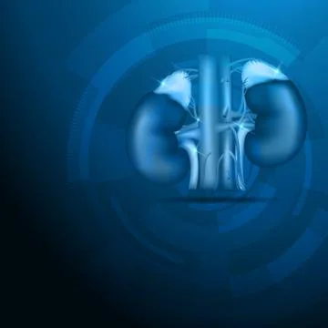 Kidneys abstract blue background Stock Illustration
