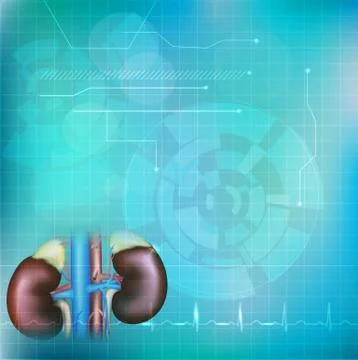 Kidneys background Stock Illustration