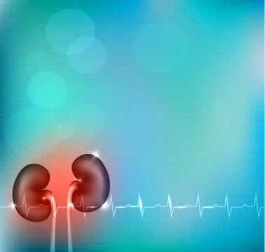 Kidneys bright blue abstract background Stock Illustration