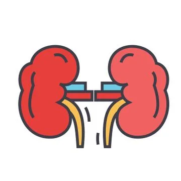 Kidneys concept. Illustrazione stock