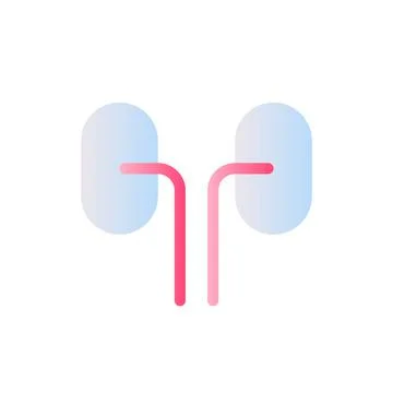 Kidneys flat gradient two-color ui icon イラスト素材