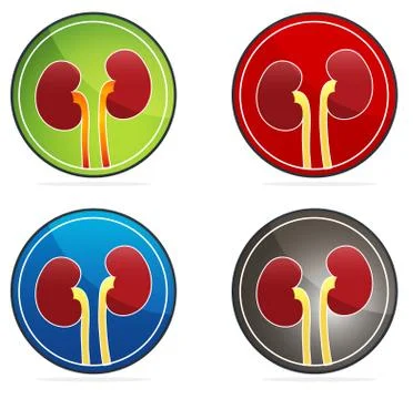 Kidneys icon set Stock Illustration