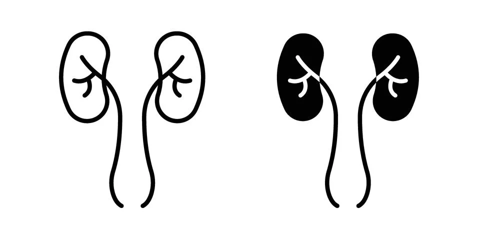 Kidneys icon silhouette vector set. thin line pack Stock Illustration